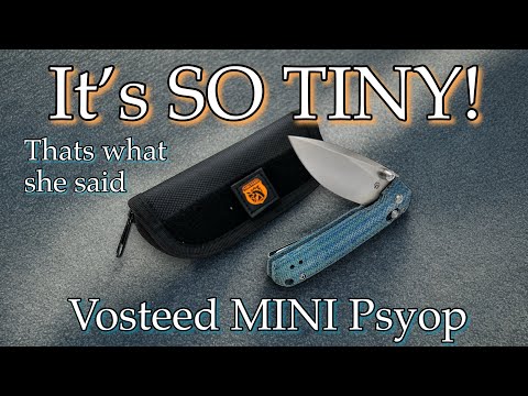 The smallest mind manipulation - Vosteed Mini Psyop