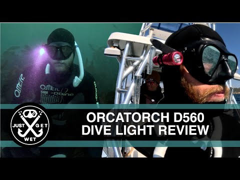 Lobster Diving Headlamp Review - OrcaTorch D560