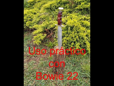 Prueba practica con cuchillo Muela Bowie W22