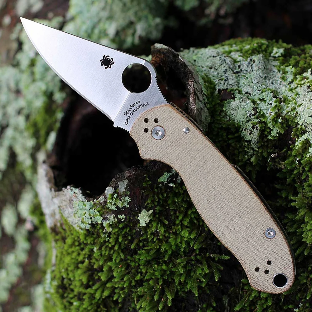 Spyderco Para 3 Knife